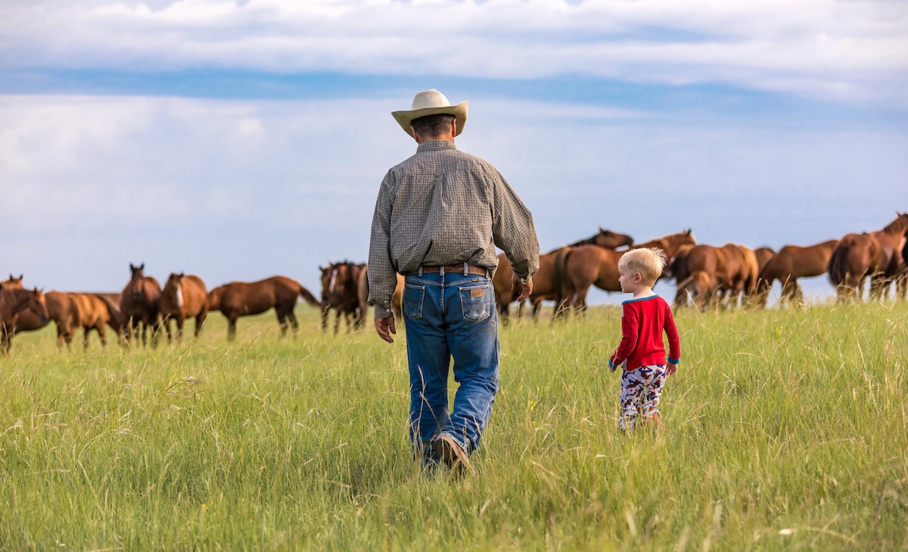 Horses and prairie and child