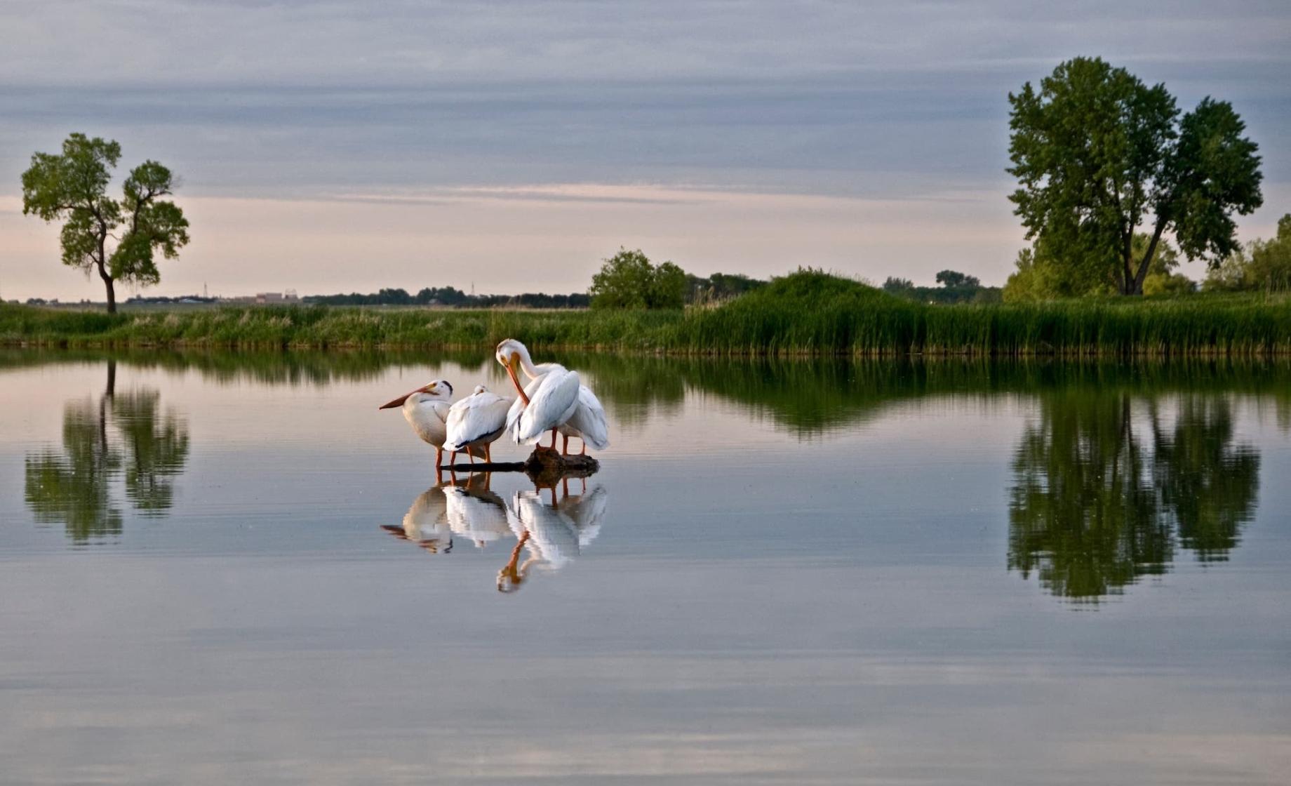 Waubay Wildlife Refuge