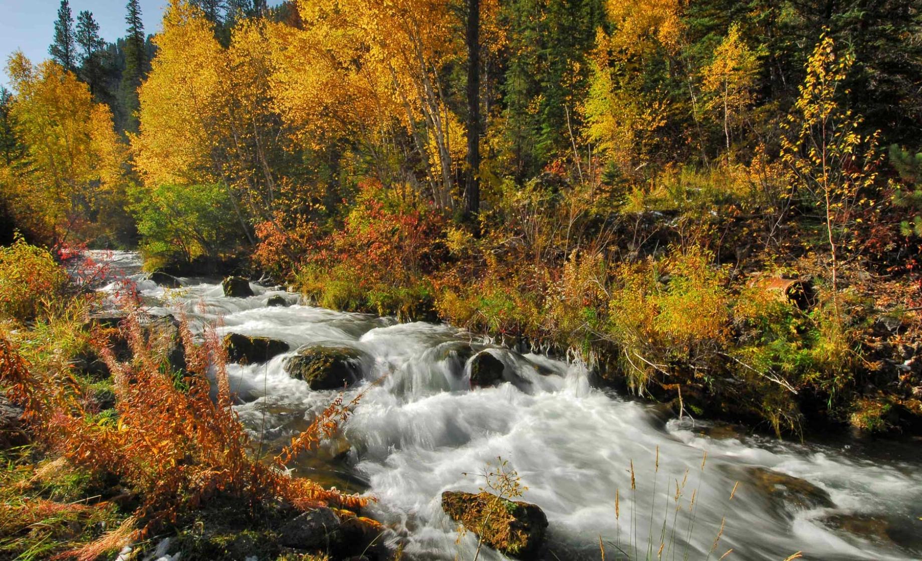 Spearfish Canyon in the fall