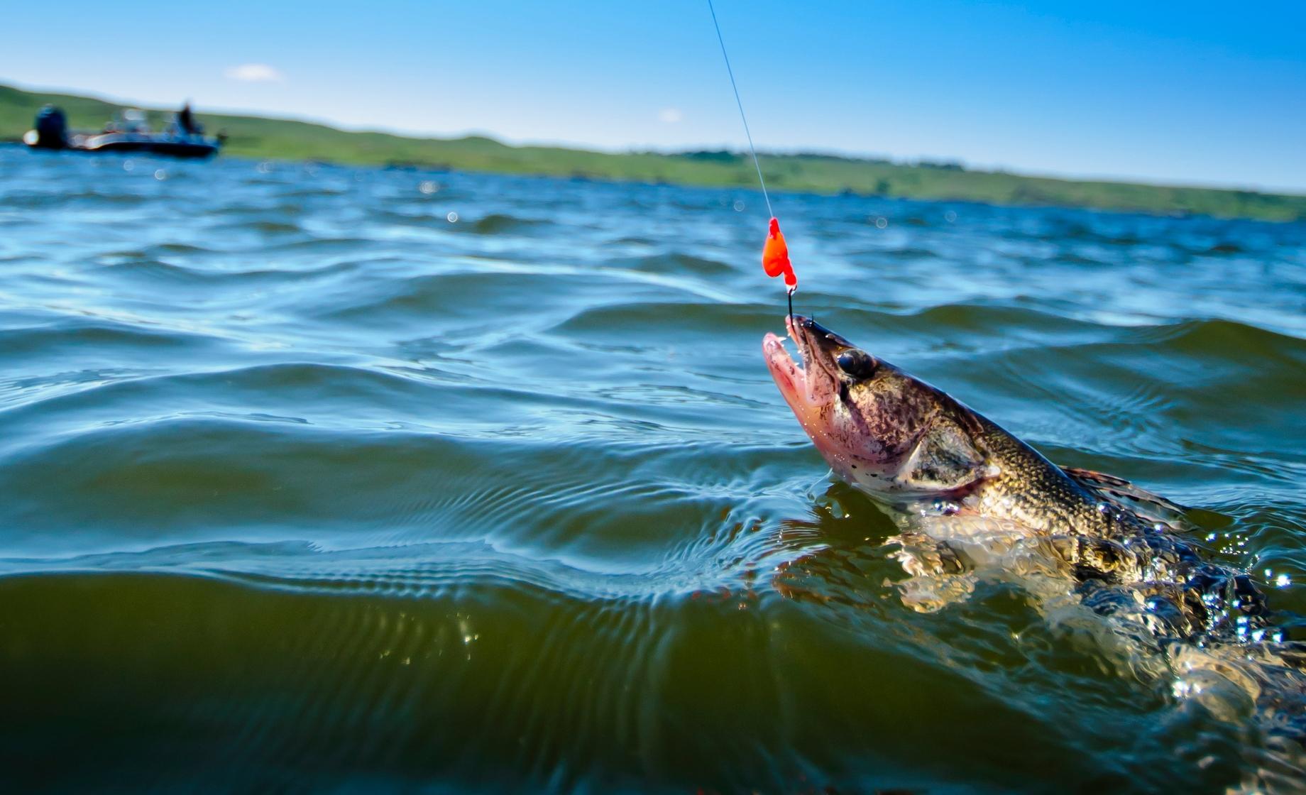 Lake fishing, southeast