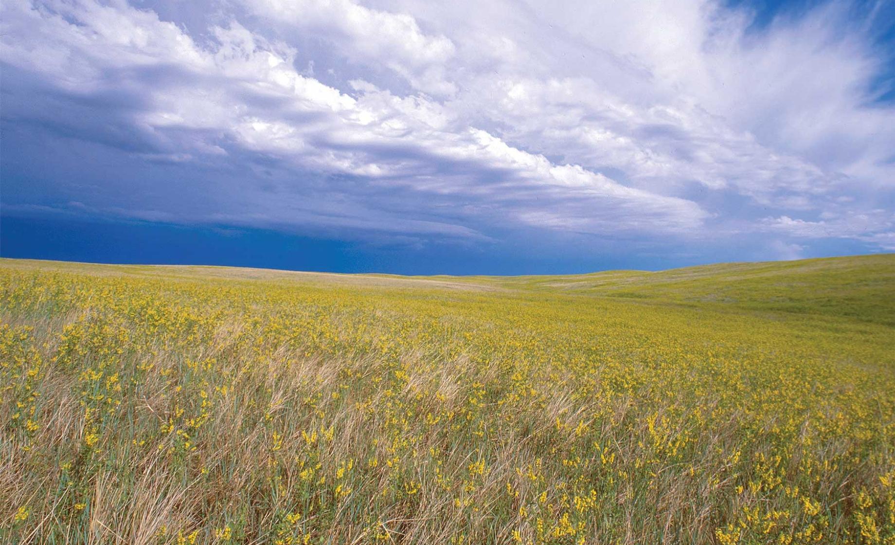 Weite Prärie unter blauem Himmel in der Glacial Lakes Region 