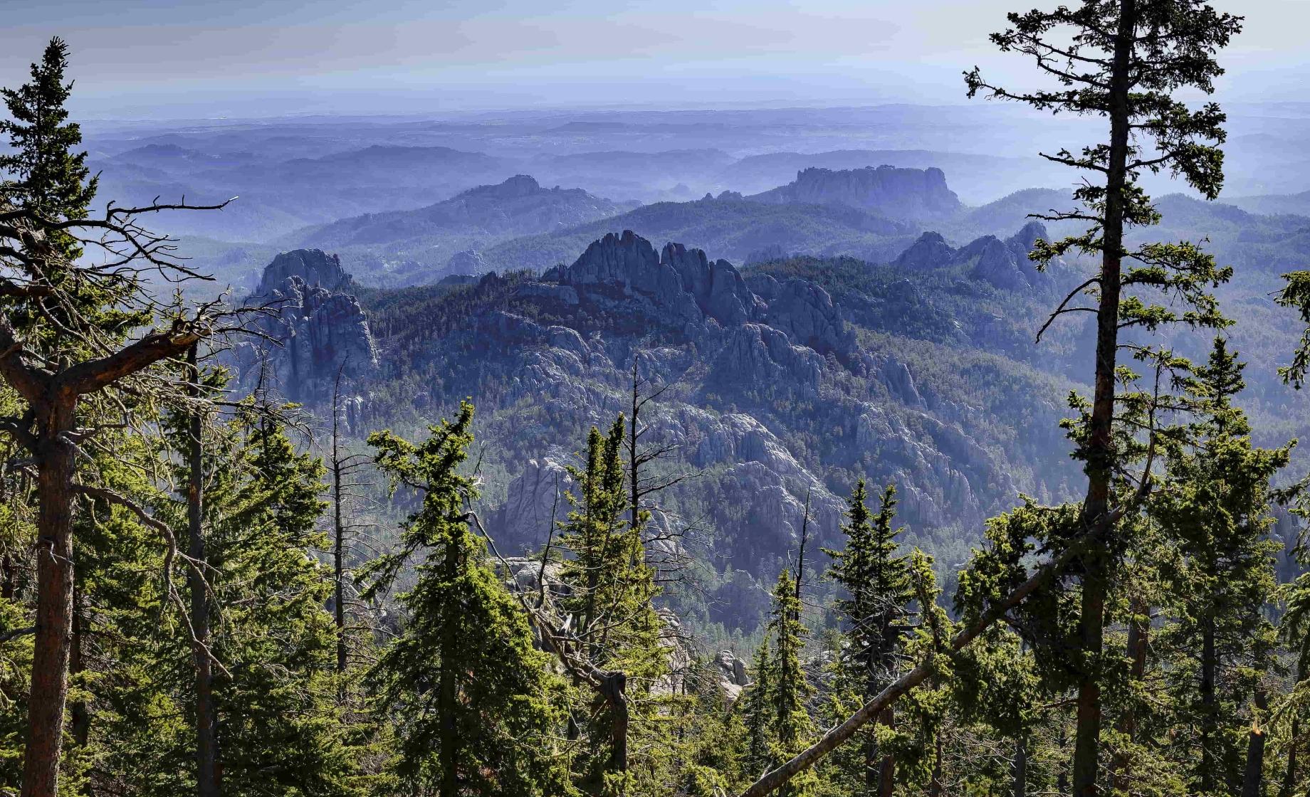 Black Elk Peak horizon