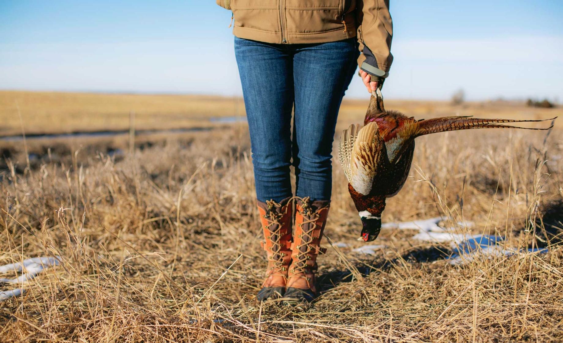 Hunter in field holding a pheasant