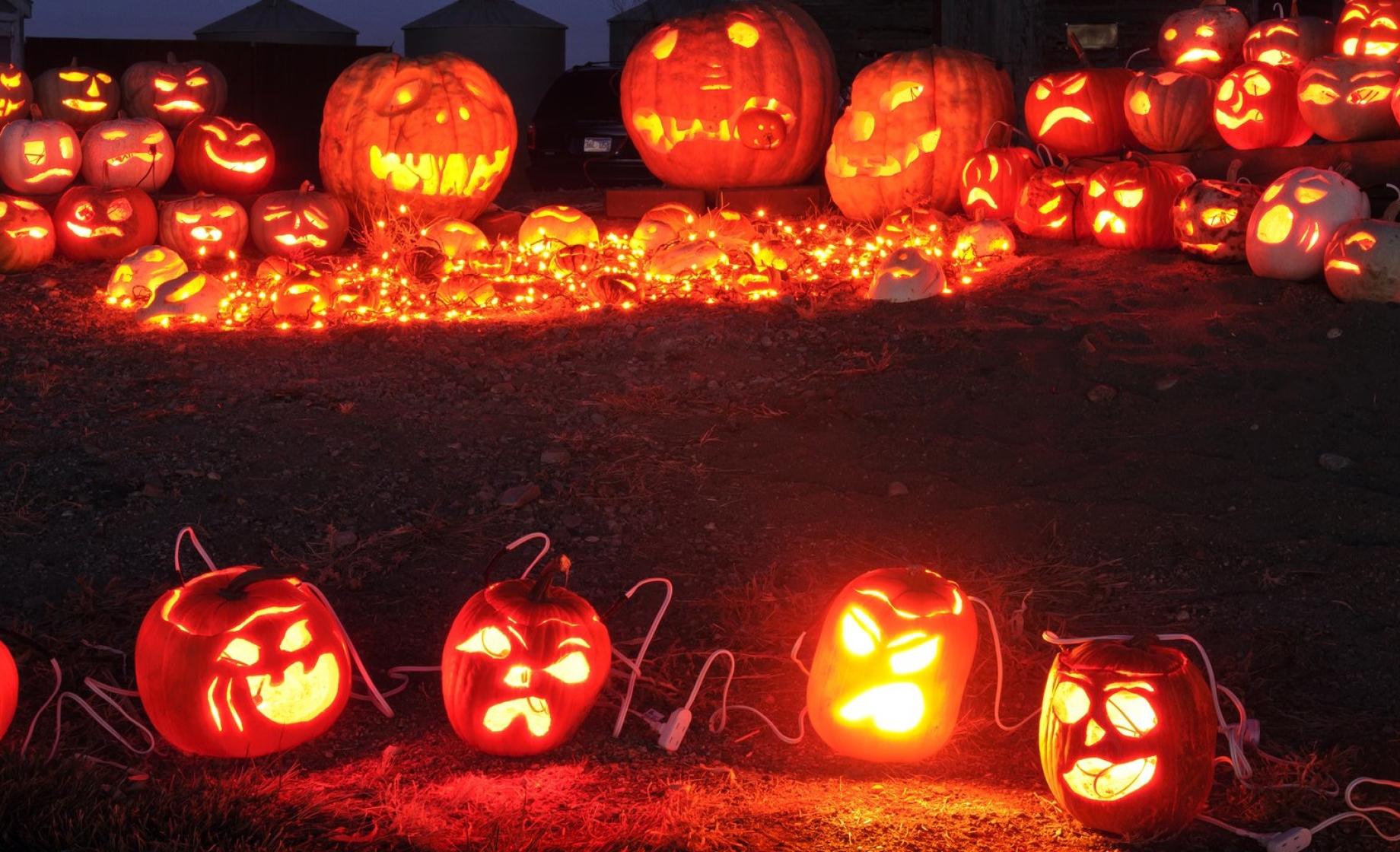 Lit jack-o-lanterns