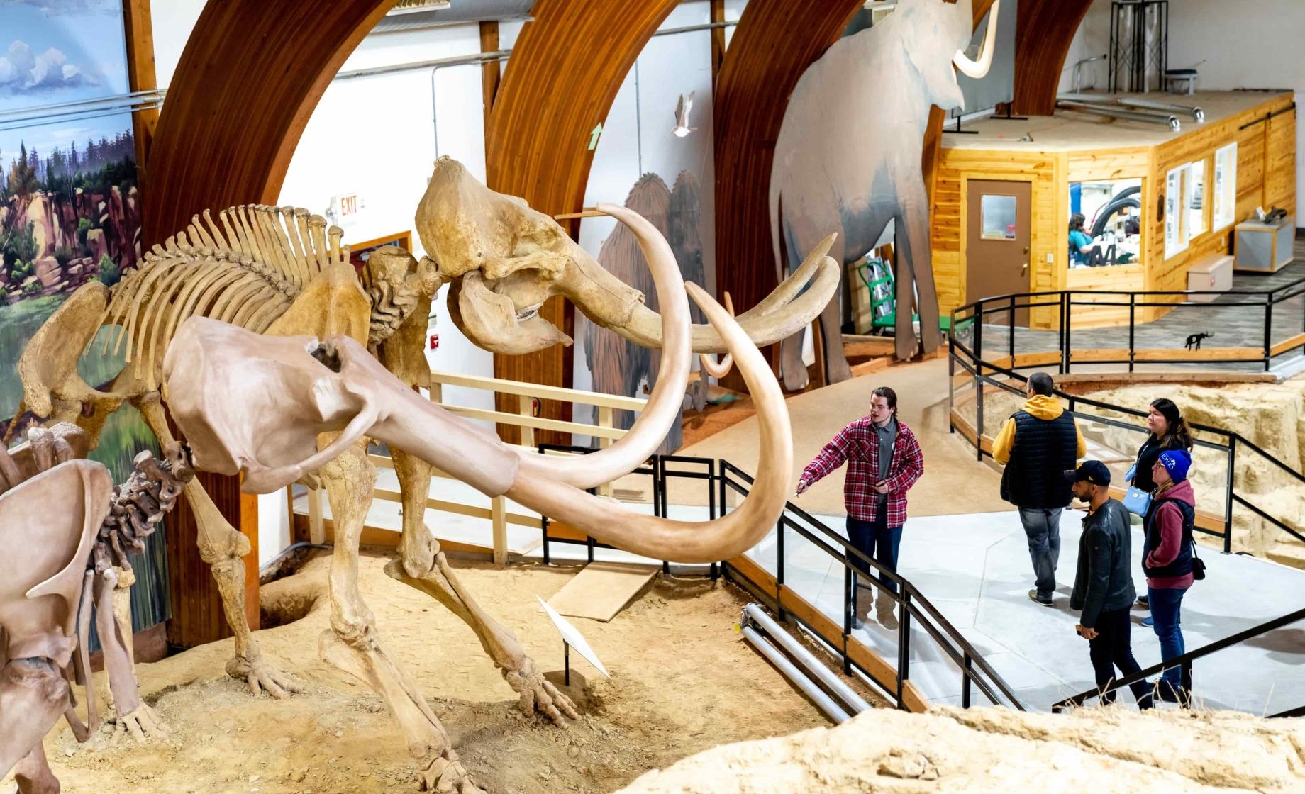 People look at two giant mammoth skeletons in Hot Springs