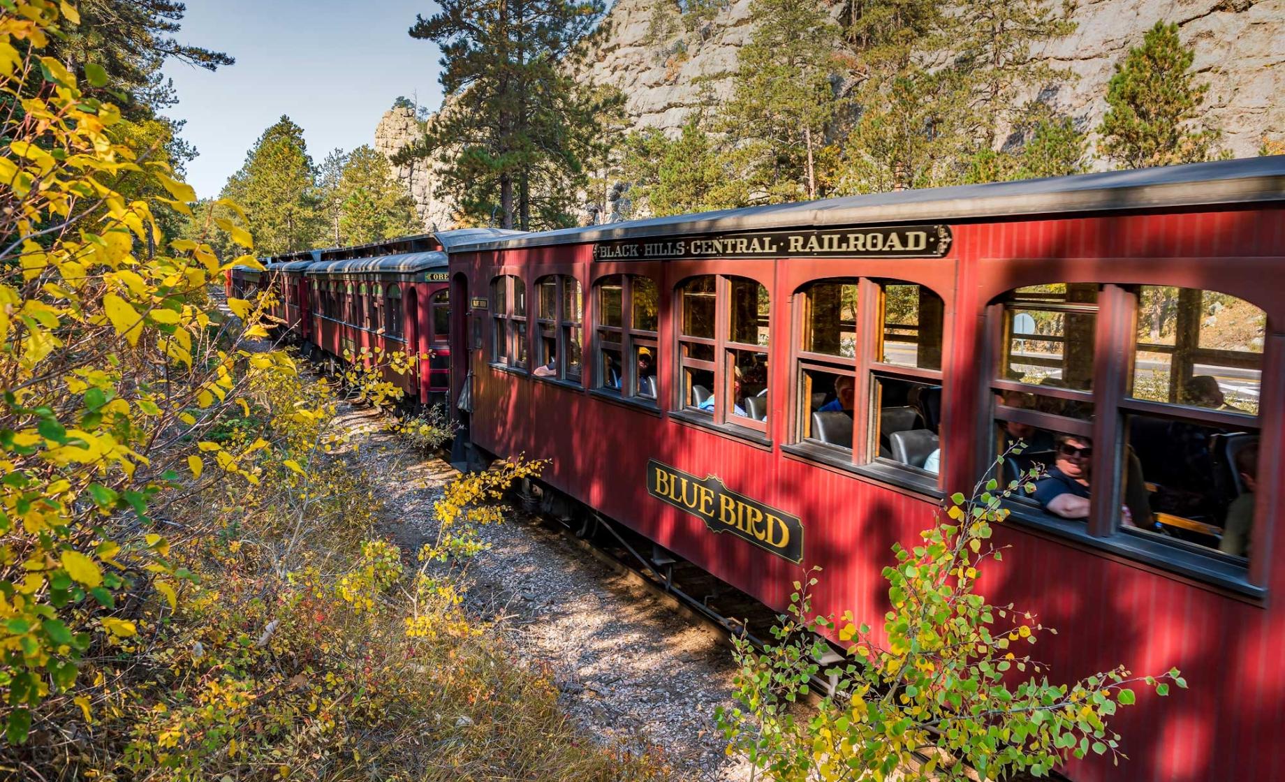 Historic train driving through canyon with fall colors