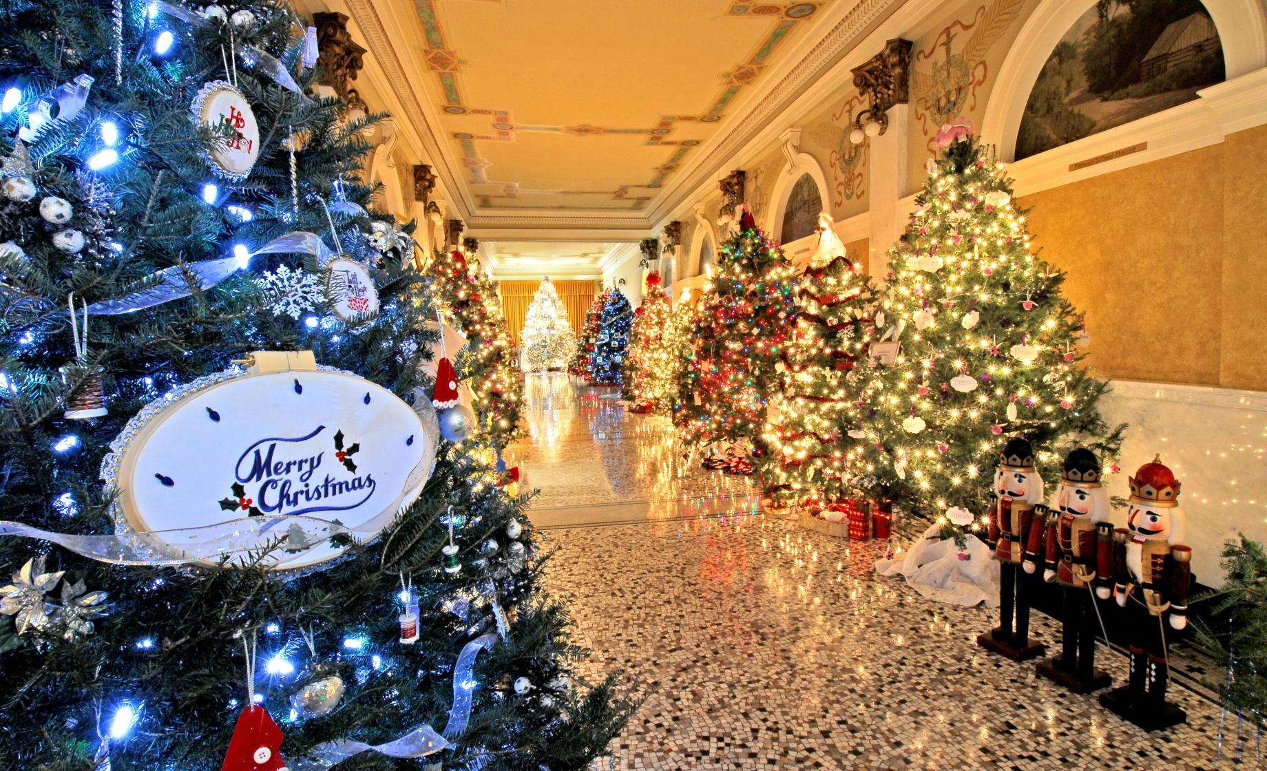 Christmas trees in the halls of the Capitol