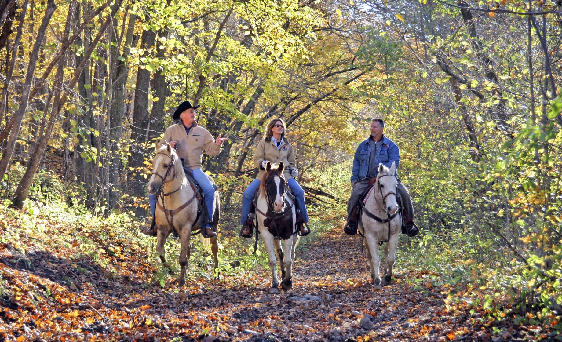 Horseback Riding