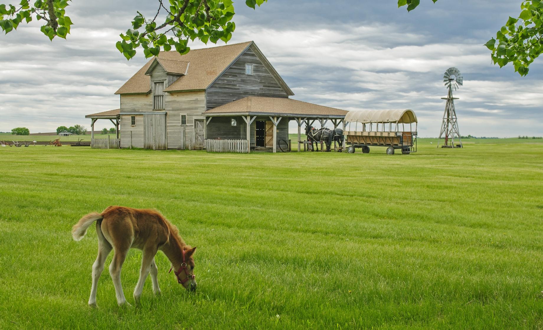 Ingalls Homestead