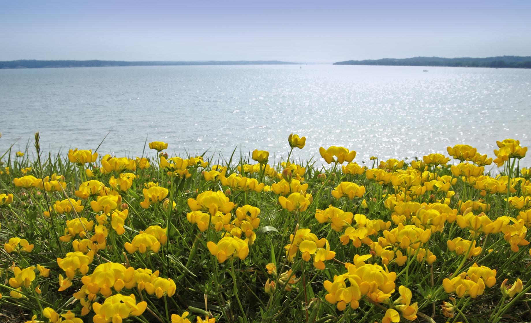 Lewis and Clark Trail