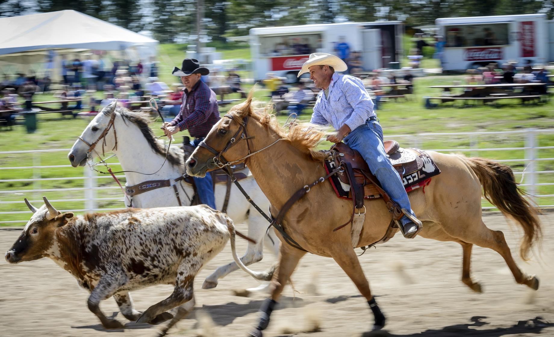 Rodeo