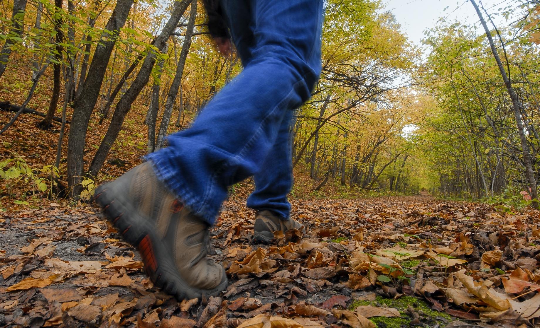 Hiking at Sica Hollow State Park.