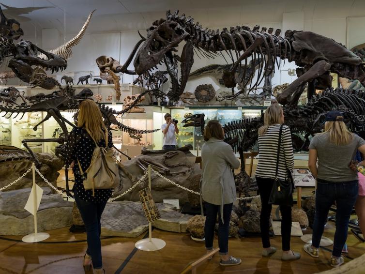 Museum of Geology