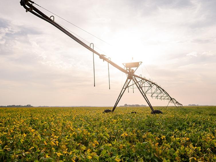 Dakota Lakes Research Farm
