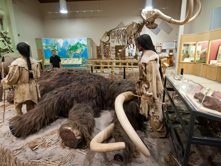 Mammoth