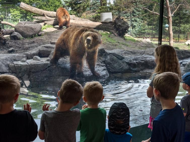 Bear and kids at Great Plains Zoo