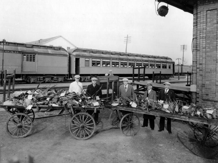 Men at trolley cart with Pheasants