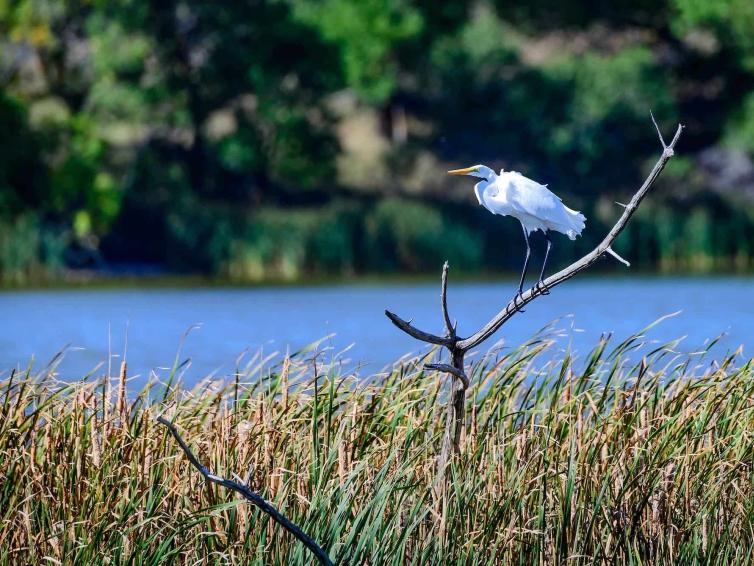 Waubay National Wildlife Refuge