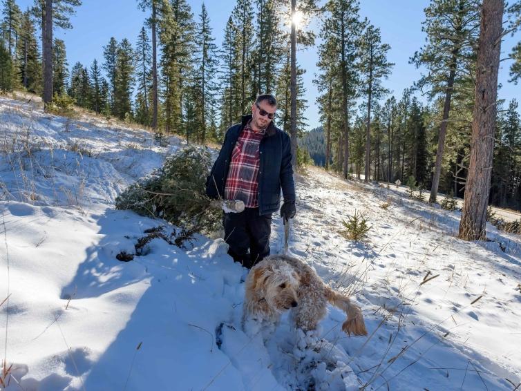 Christmas Tree Cutting