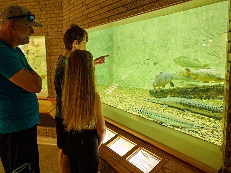Family enjoying aquarium exhibits