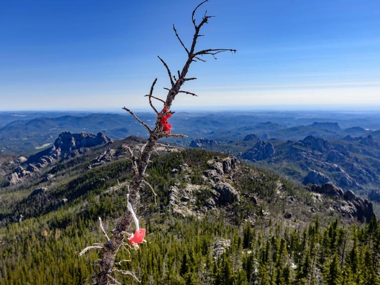 Prayer cloths at Black Elk Peak
