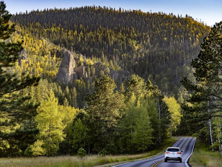 Driving Through Black Hills National Forest