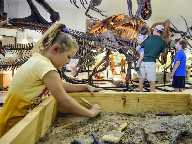Everything Prehistoric, searching for fossils