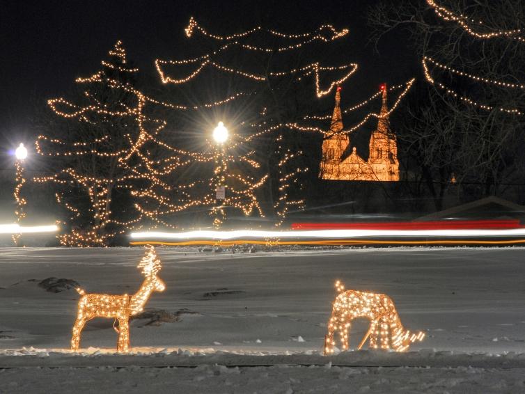 Light decorations in Falls Park