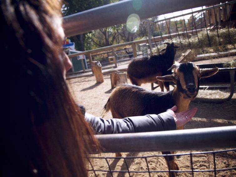 Great Plains Zoo