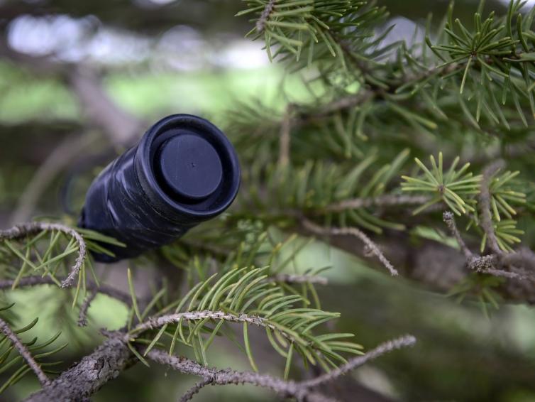 Cache in a tree