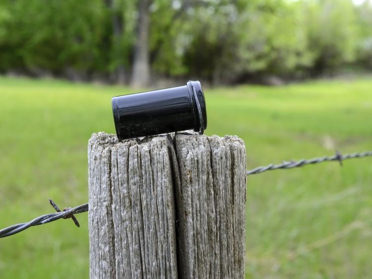Cache
