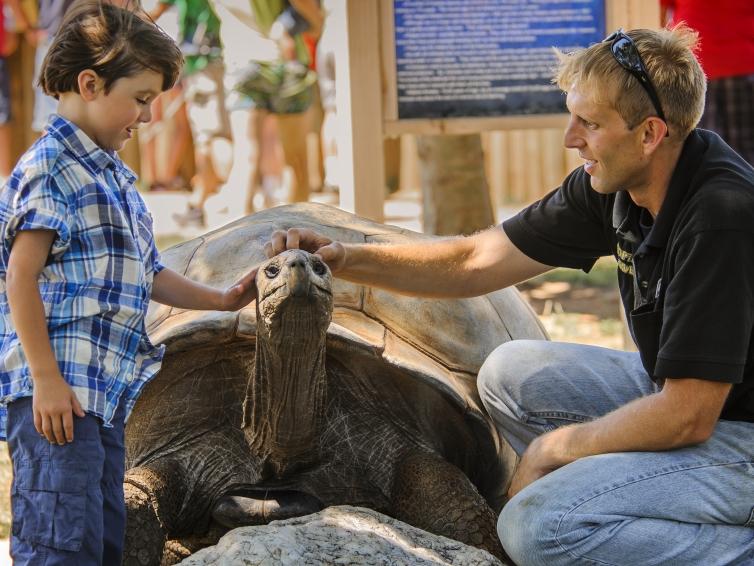 Tortoise petting, Reptile Gardens