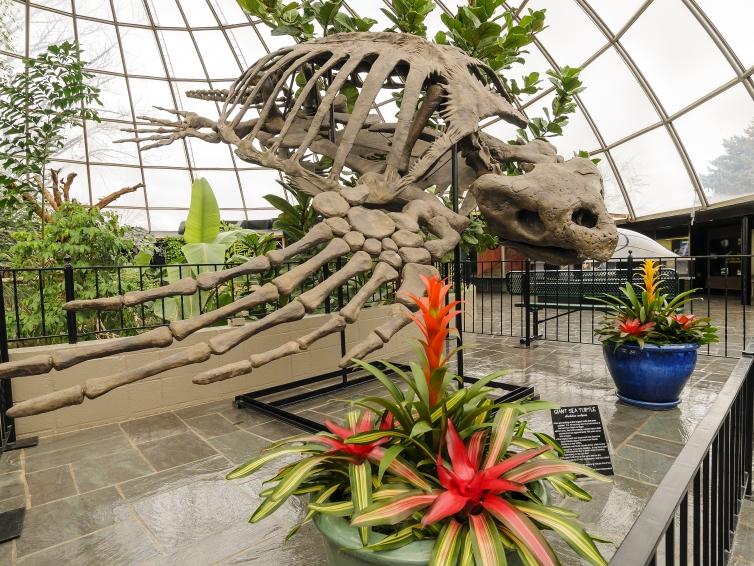 Reptile Gardens