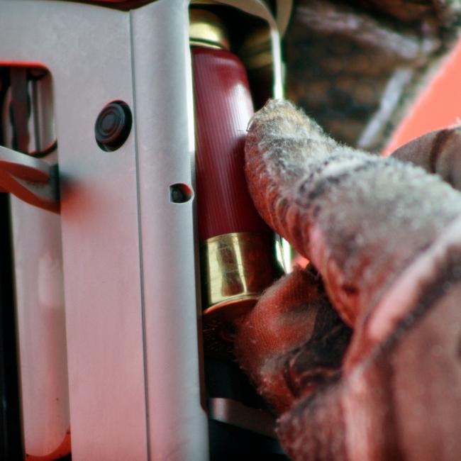 Shotgun shell load