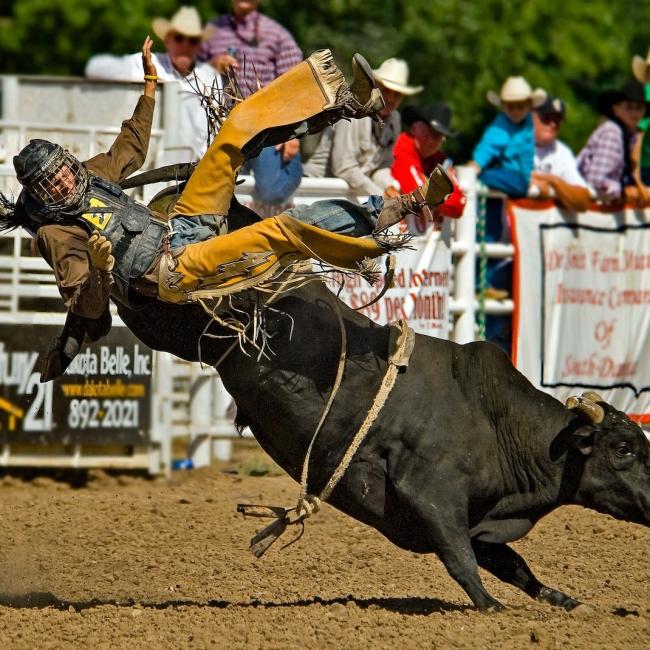 Black Hills Round Up