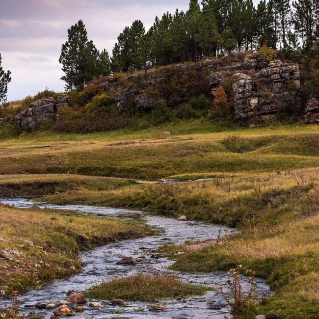 Wind Cave Landscape