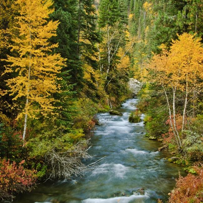 Spearfish Canyon State and National Forest Service Scenic Byway 