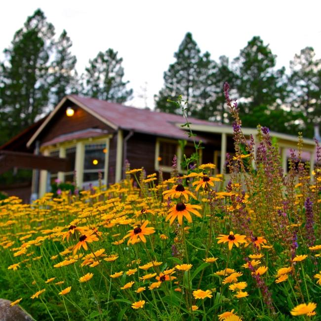 Flowers outside of Black Hills Playhouse
