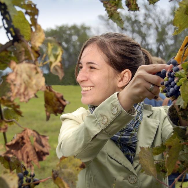 Schade Winery