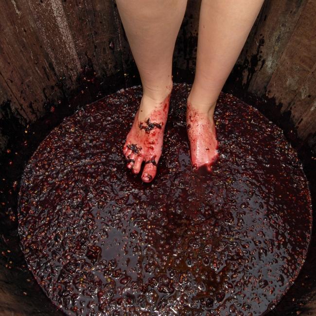 Stomping on grapes