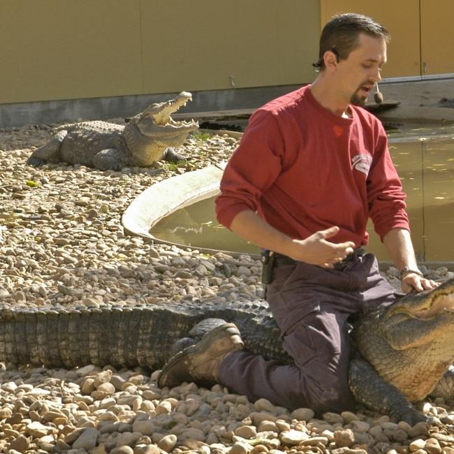 Crocodile, Reptile Gardens