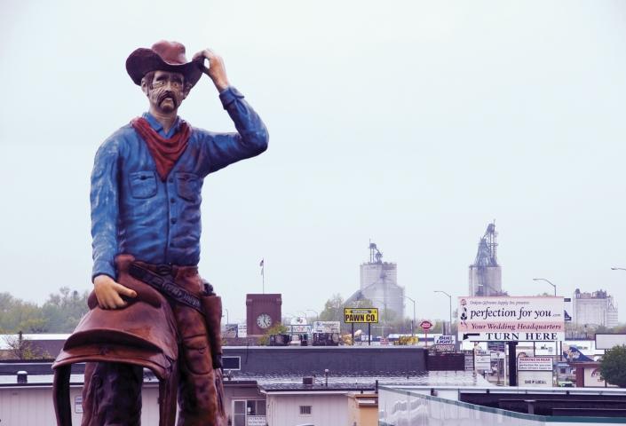 Watertown Cowboy