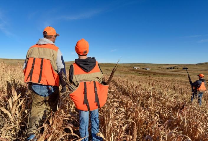 Dad and son with pheasant limit in field
