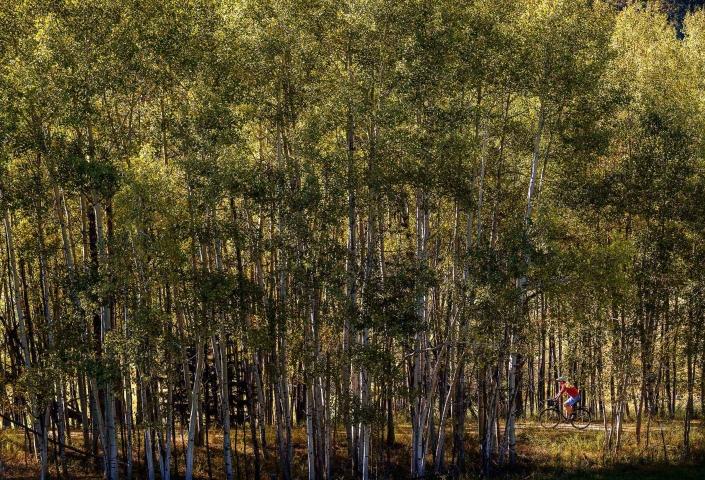 Mickelson Trail Biking