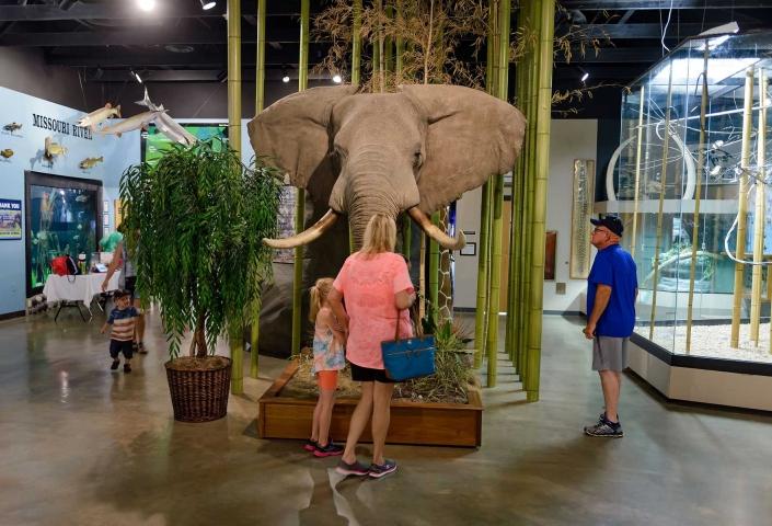 Bramble Park Zoo