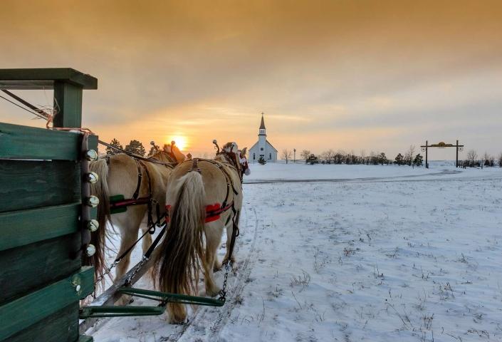 Horses pulling a sleigh in the snow