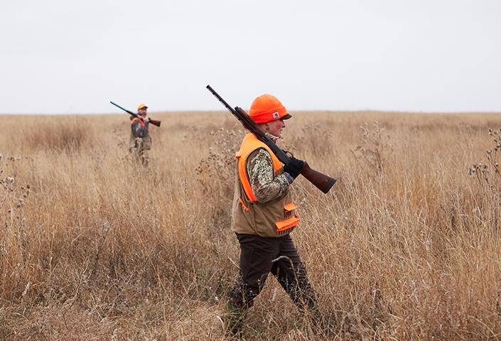 Two pheasant hunters in the field