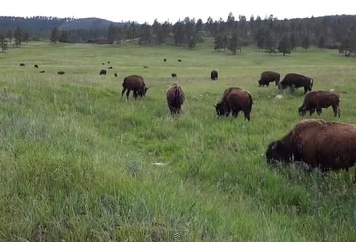 Buffalo wide shot by The Planet D blog