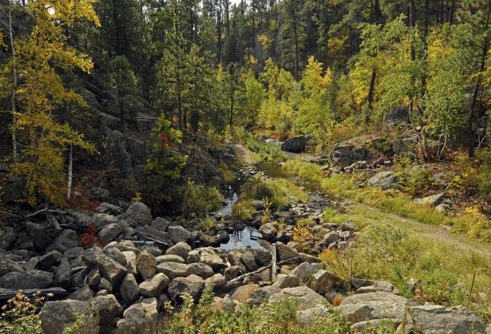 Black Hills