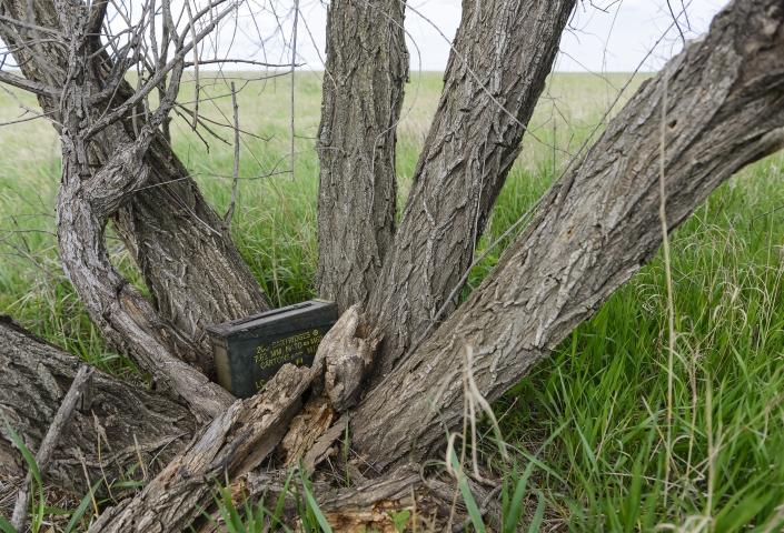 Geocache location